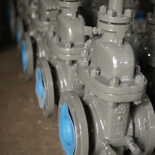 LCC Flanged Gate Valve